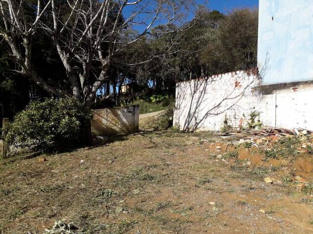 #T0008_25 - Área para Venda em Campo Magro - PR - 1