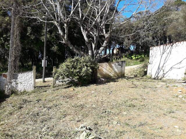 #T0008_25 - Área para Venda em Campo Magro - PR - 3