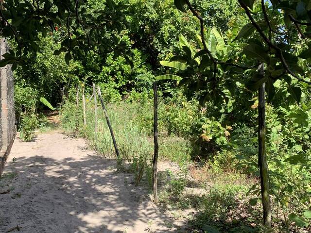 #2103 - Terreno para Venda em Tibau do Sul - RN - 2