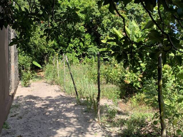 #2103 - Terreno para Venda em Tibau do Sul - RN - 3