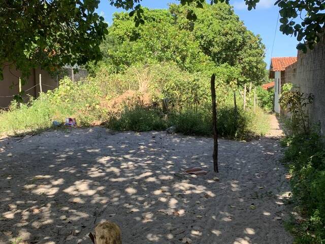 Terreno para Venda em Tibau do Sul - 4
