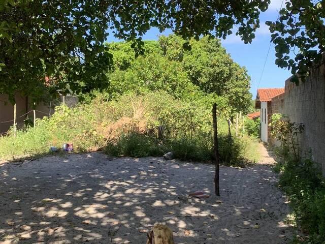Terreno para Venda em Tibau do Sul - 5