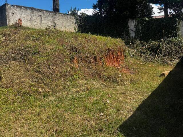 #tc17/9 - Terreno para Venda em Curitiba - PR - 3