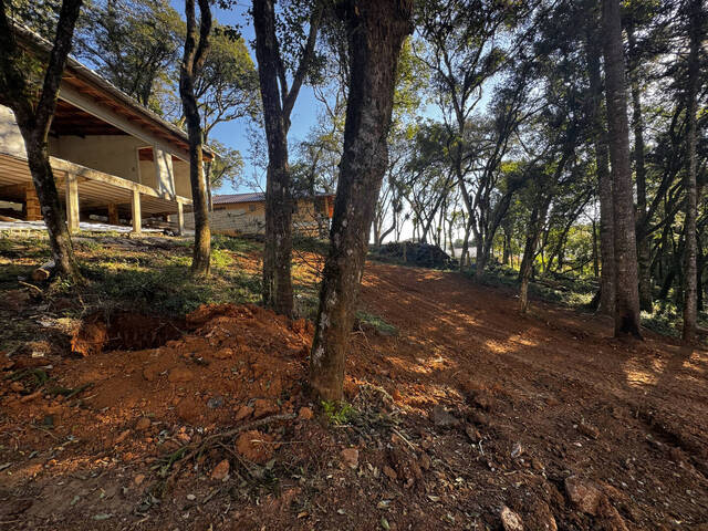 #2157 - Área para Venda em Curitiba - PR - 1