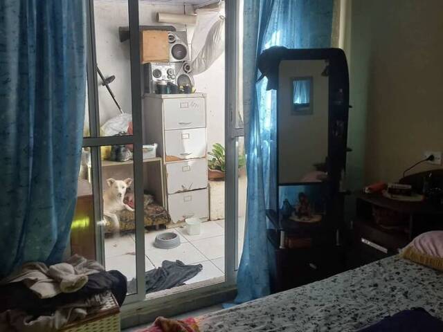#2171 - Casa para Venda em Fazenda Rio Grande - PR - 3