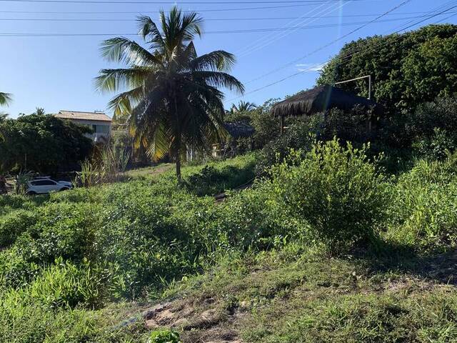 #2179 - Terreno para Venda em Tibau do Sul - RN - 3