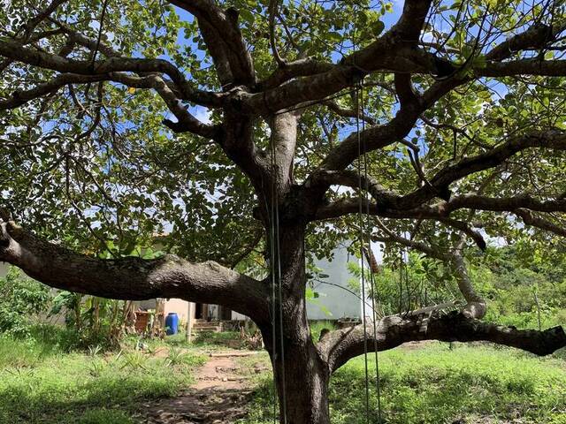 #2180 - Casa para Venda em Tibau do Sul - RN - 1