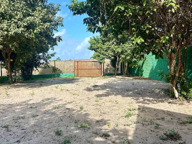 Casa para Venda em Tibau do Sul - 4