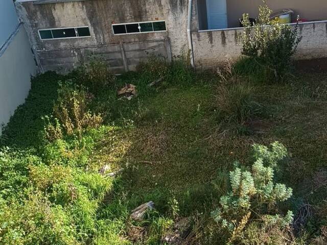 #2198 - Sala para Venda em Curitiba - PR - 1