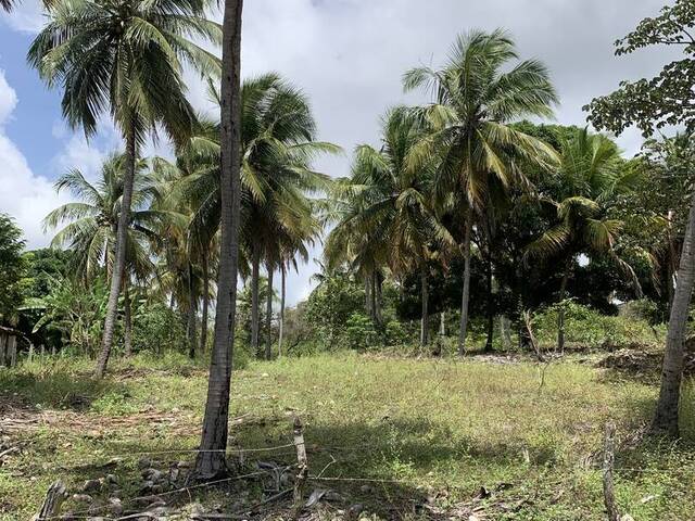Terreno para Venda em Parnamirim - 4
