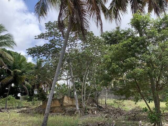 #2202 - Terreno para Venda em Parnamirim - RN - 2