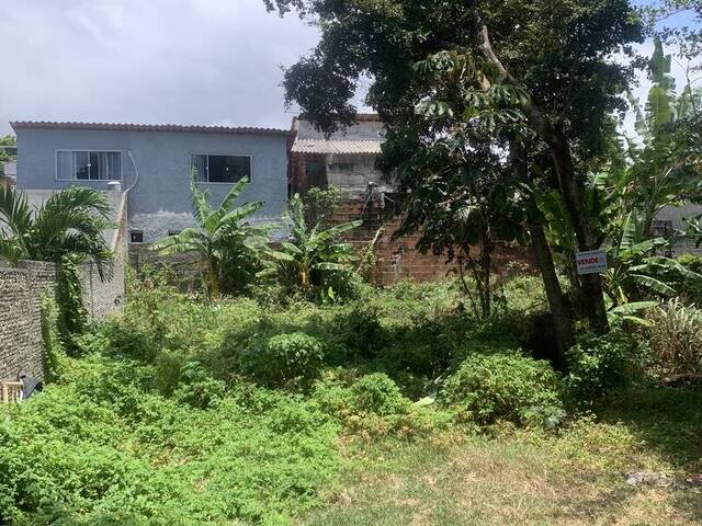 #2215 - Terreno para Venda em Tibau do Sul - RN - 1