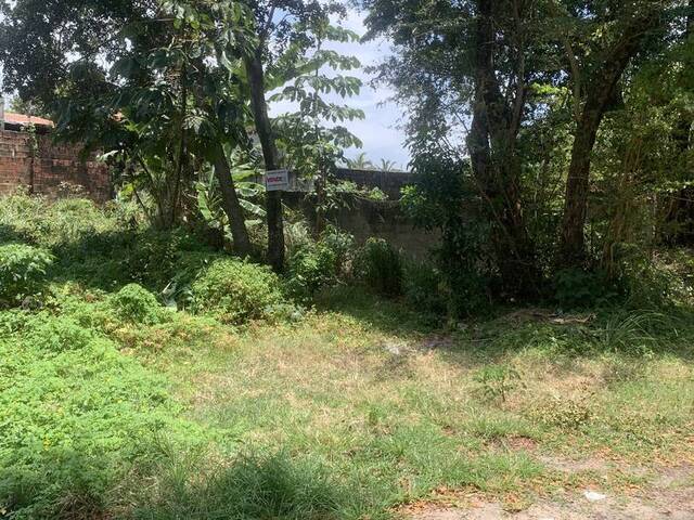 Terreno para Venda em Tibau do Sul - 4