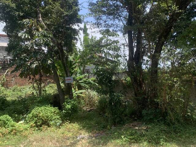 Terreno para Venda em Tibau do Sul - 5