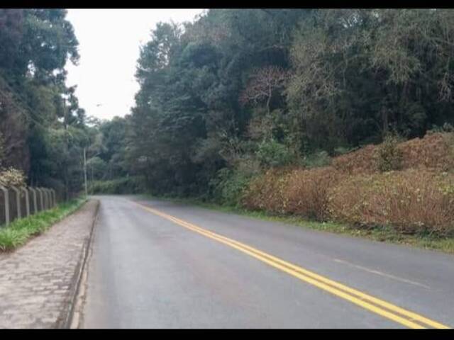 #2221 - Área para Venda em Curitiba - PR - 1