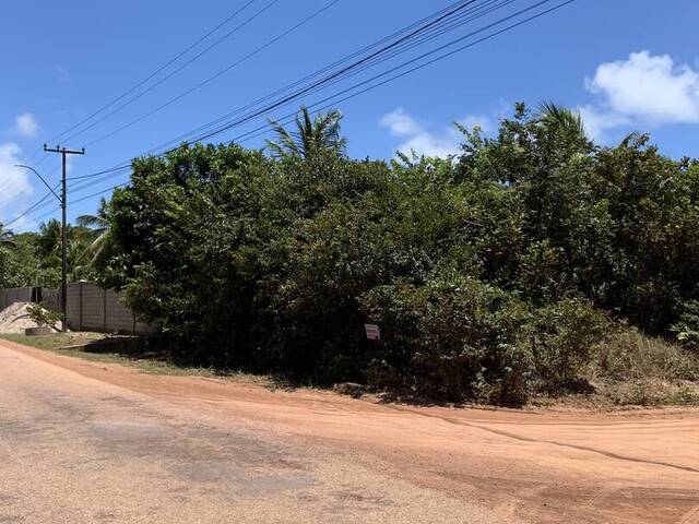 Terreno para Venda em Tibau do Sul - 2