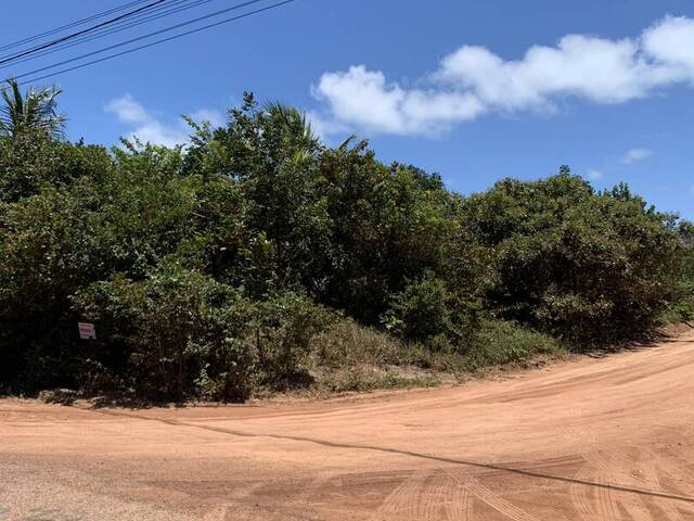 Terreno para Venda em Tibau do Sul - 4