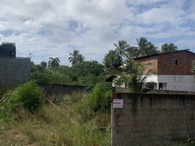 Terreno para Venda em Tibau do Sul - 4
