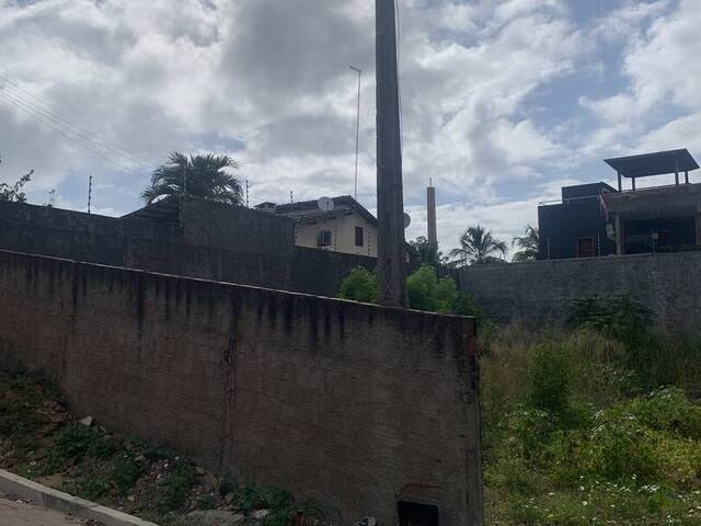 Terreno para Venda em Tibau do Sul - 5