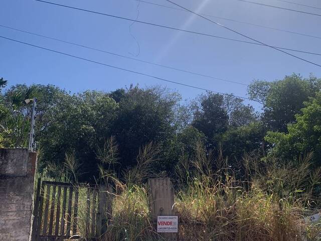 #2233 - Terreno para Venda em Tibau do Sul - RN - 3