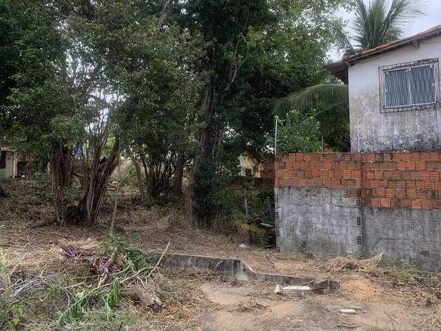 Terreno para Venda em Tibau do Sul - 4