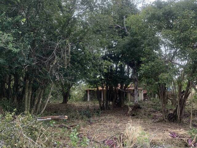 Terreno para Venda em Tibau do Sul - 5