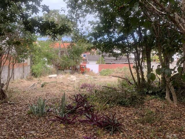 #2233 - Terreno para Venda em Tibau do Sul - RN - 2