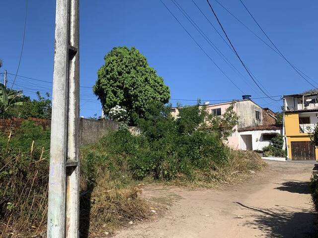 #2234 - Terreno para Venda em Tibau do Sul - RN - 3