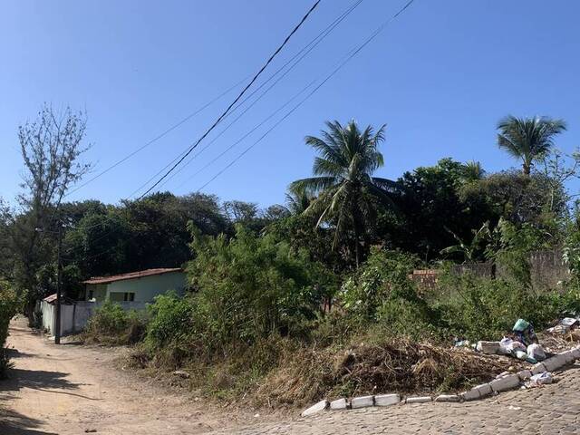 Terreno para Venda em Tibau do Sul - 4
