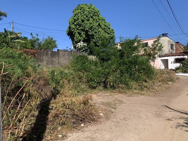 Terreno para Venda em Tibau do Sul - 5
