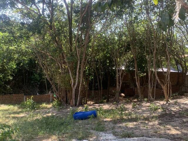 #2235 - Área para Venda em Tibau do Sul - RN - 1