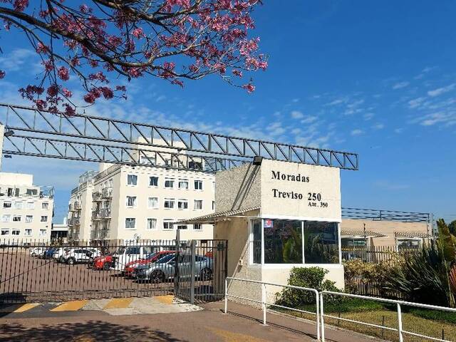 Venda em Boneca do Iguaçu - São José dos Pinhais