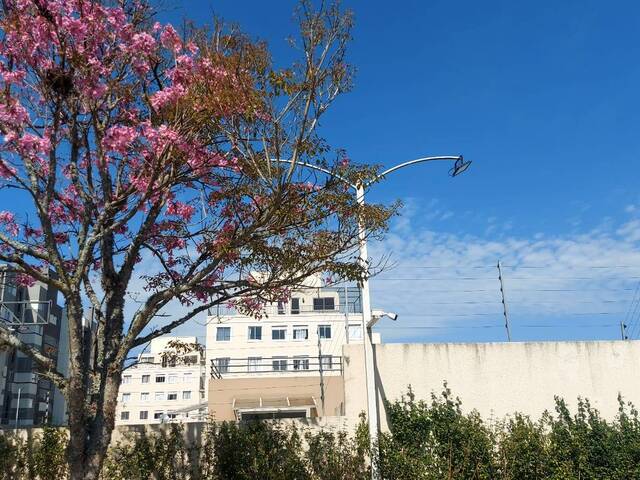 #A0115_25 - Apartamento para Venda em São José dos Pinhais - PR - 3