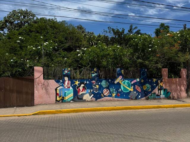 #2295 - Área para Venda em Tibau do Sul - RN - 3