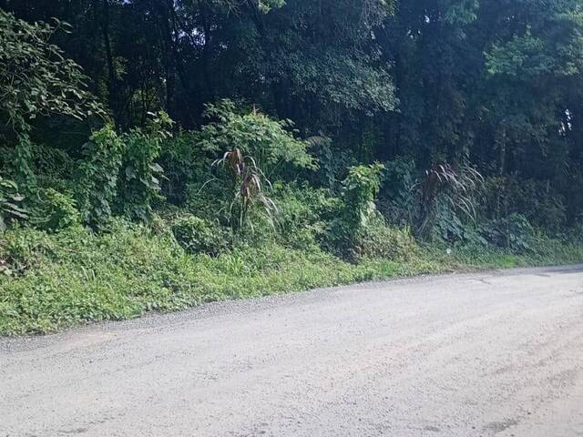 #RR0002_26 - Chácara para Venda em Colombo - PR - 2