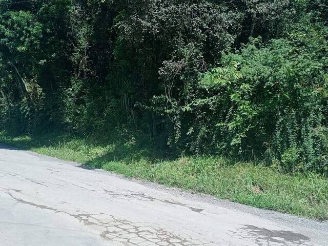 Chácara para Venda em Colombo - 5