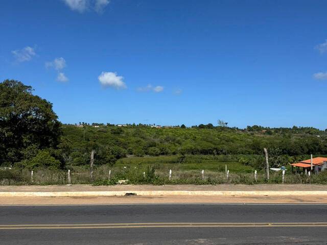 #2301 - Área para Venda em Tibau do Sul - RN - 1