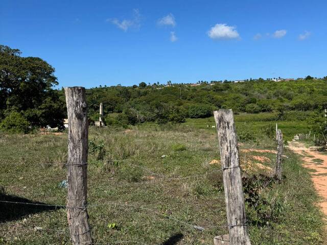 #2301 - Área para Venda em Tibau do Sul - RN - 3