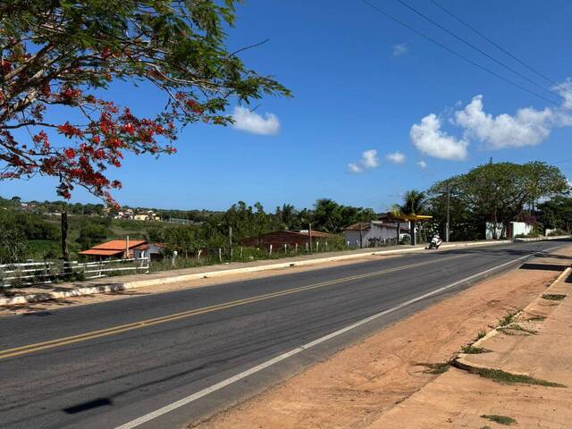 #2301 - Terreno para Venda em Tibau do Sul - RN - 1