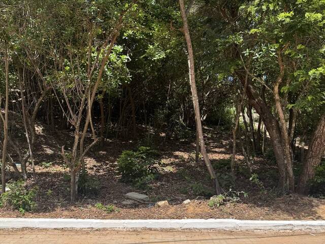 Terreno para Venda em Tibau do Sul - 2