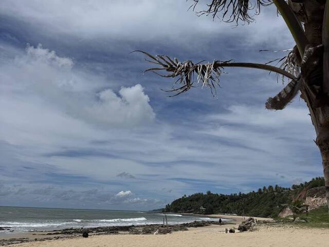 #2351 - Prédio comercial para Venda em Tibau do Sul - RN - 3