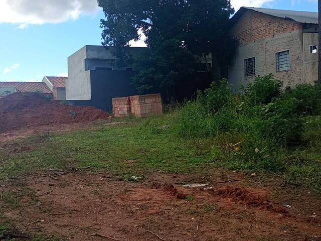 #T0008_26 - Terreno para Venda em Fazenda Rio Grande - PR - 3