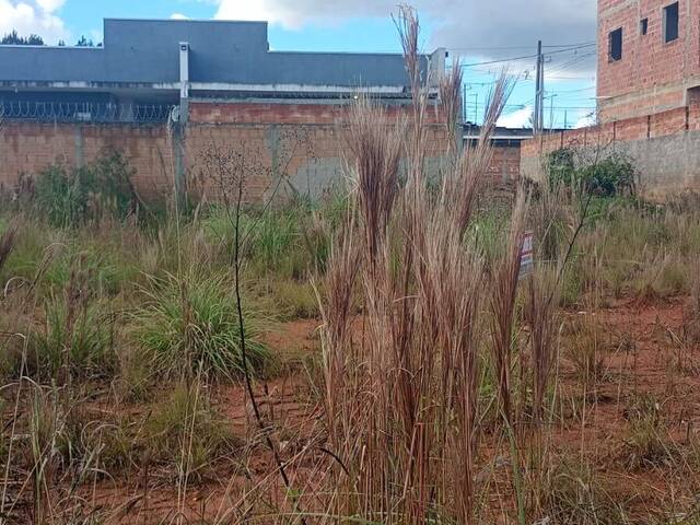 #2373 - Área para Venda em Fazenda Rio Grande - PR - 2