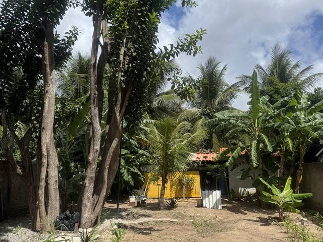 Terreno para Venda em Tibau do Sul - 3