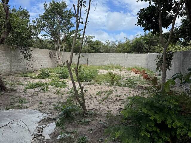 Terreno para Venda em Tibau do Sul - 3