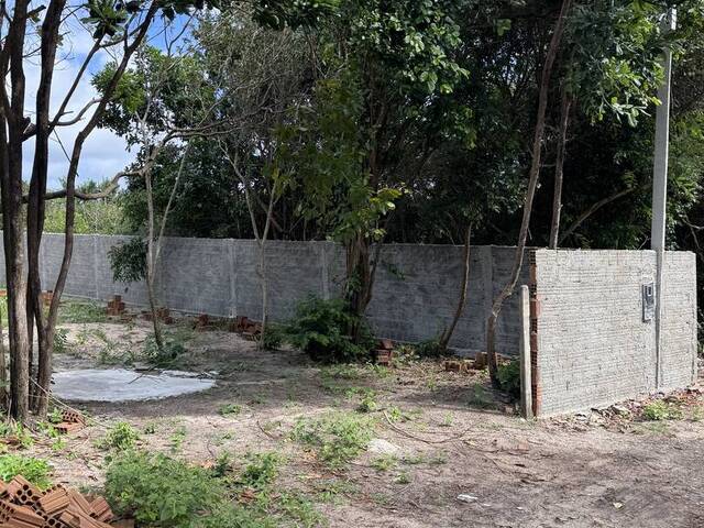Terreno para Venda em Tibau do Sul - 2