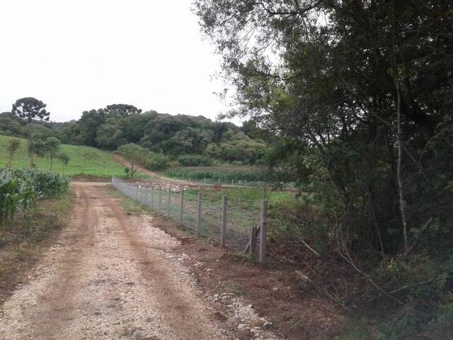 #2321 - Terreno para Venda em Almirante Tamandaré - PR - 3