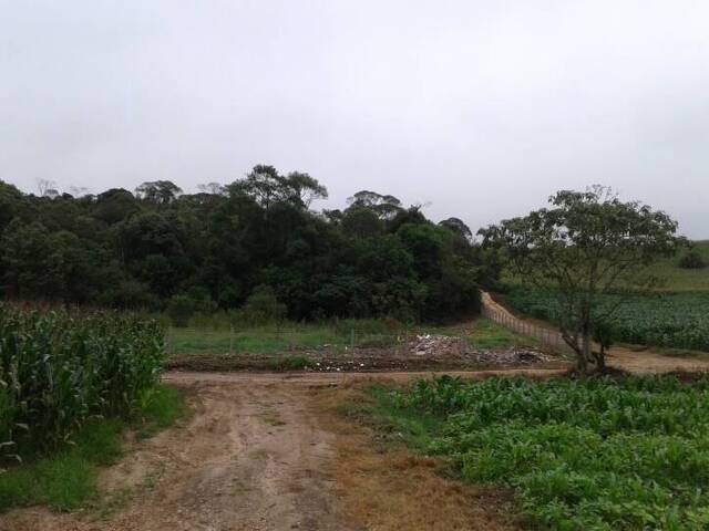 Terreno para Venda em Almirante Tamandaré - 4