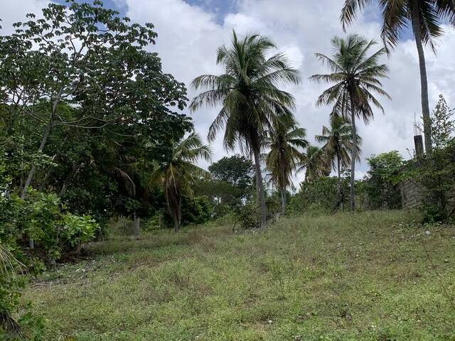 Terreno para Venda em Parnamirim - 5