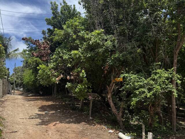Terreno para Venda em Tibau do Sul - 5